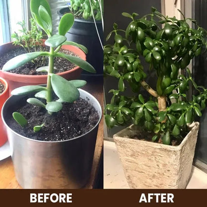 GrowMax Soil Activator